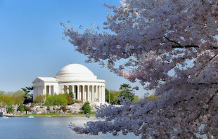 JeffersonMemorialbyBobt54WikimediaCommons