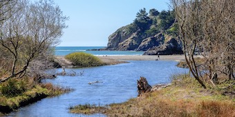 muir beach