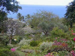 garden and ocean